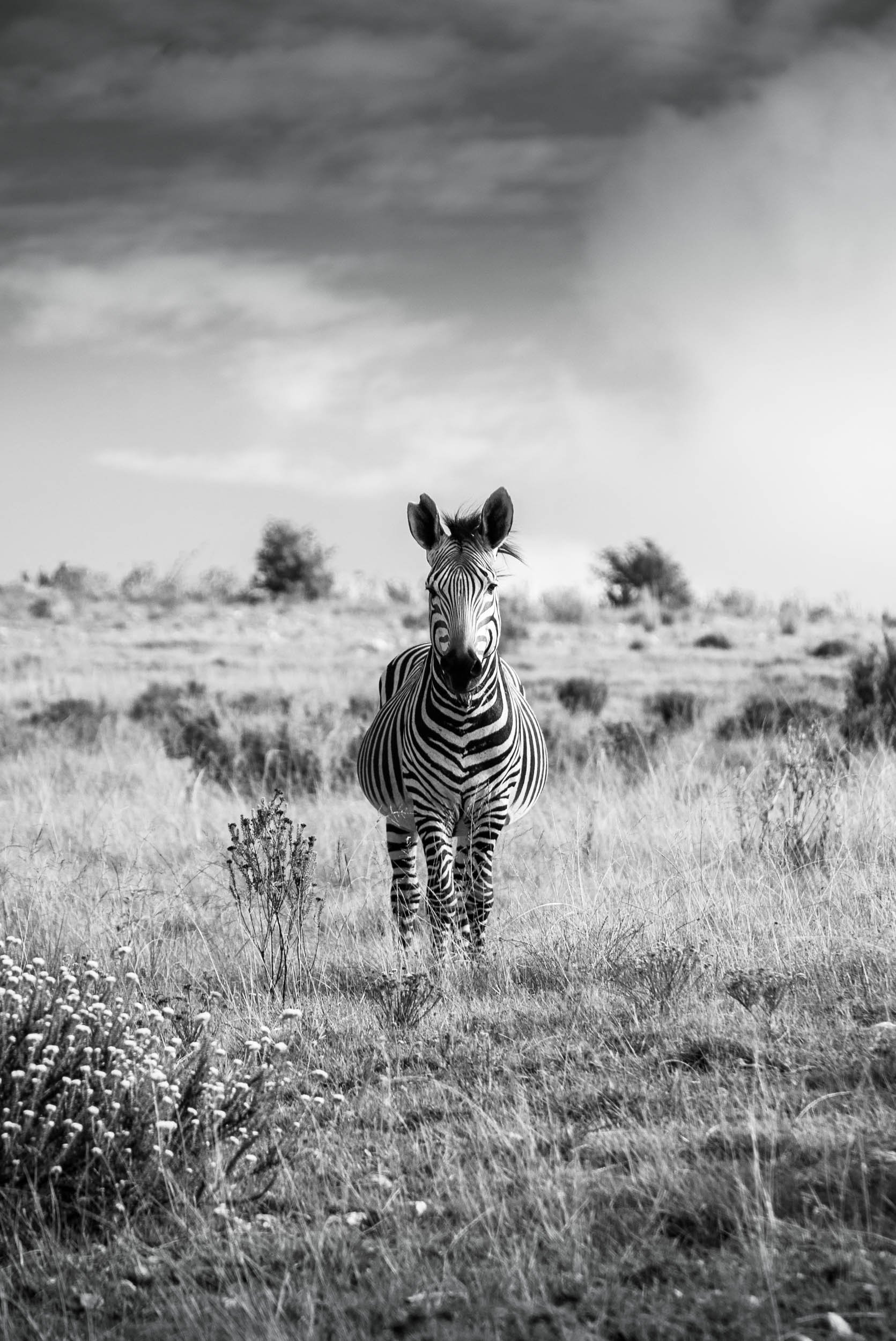 South-Africa-2013-21.jpg