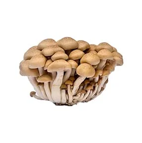 brown beech mushroom.jpg