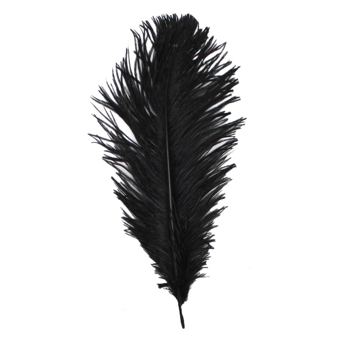feather.jpg