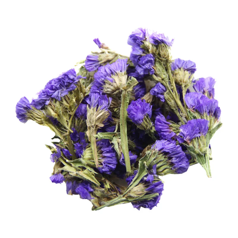 purple dried flower.jpg