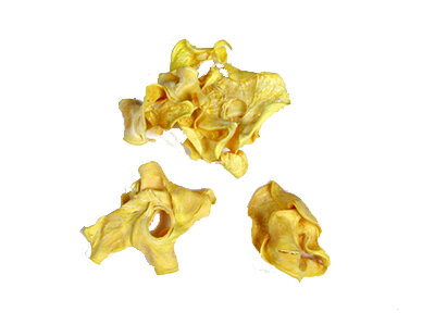 Curly-Pods-Yellow-IN__17798.1429198862 copy.jpg