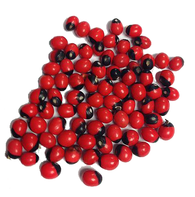 Arbus Seeds - for protection and good luck