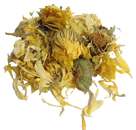 Calendula Flowers - prosperity and financial luck