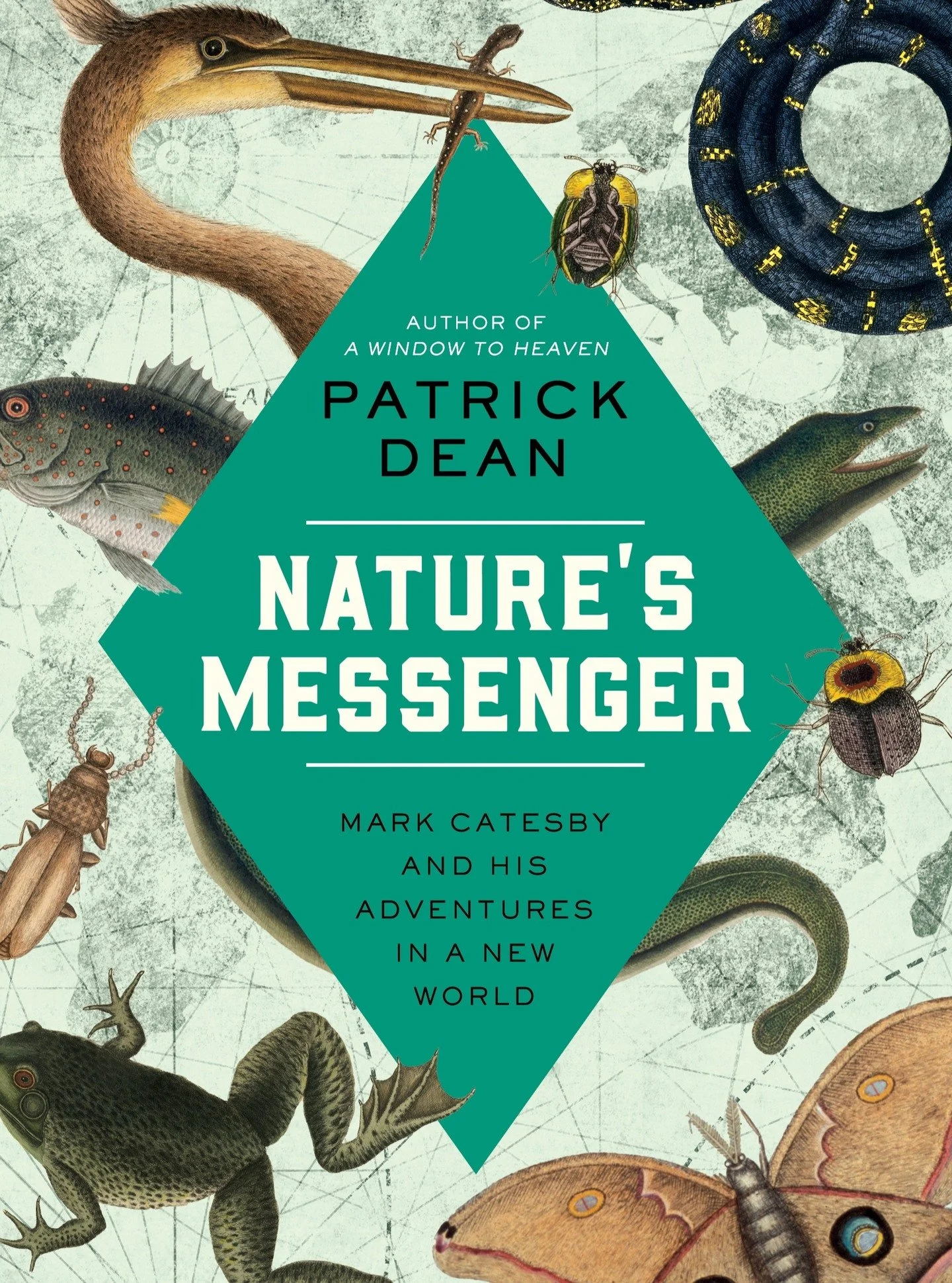 #HBD Mark Catesby #OTD in 1683. Grateful to @pegasus_books for letting me write about this artist/naturalist/explorer -- available where you get your books/audiobooks! #naturalhistory #birdart #botanicalart