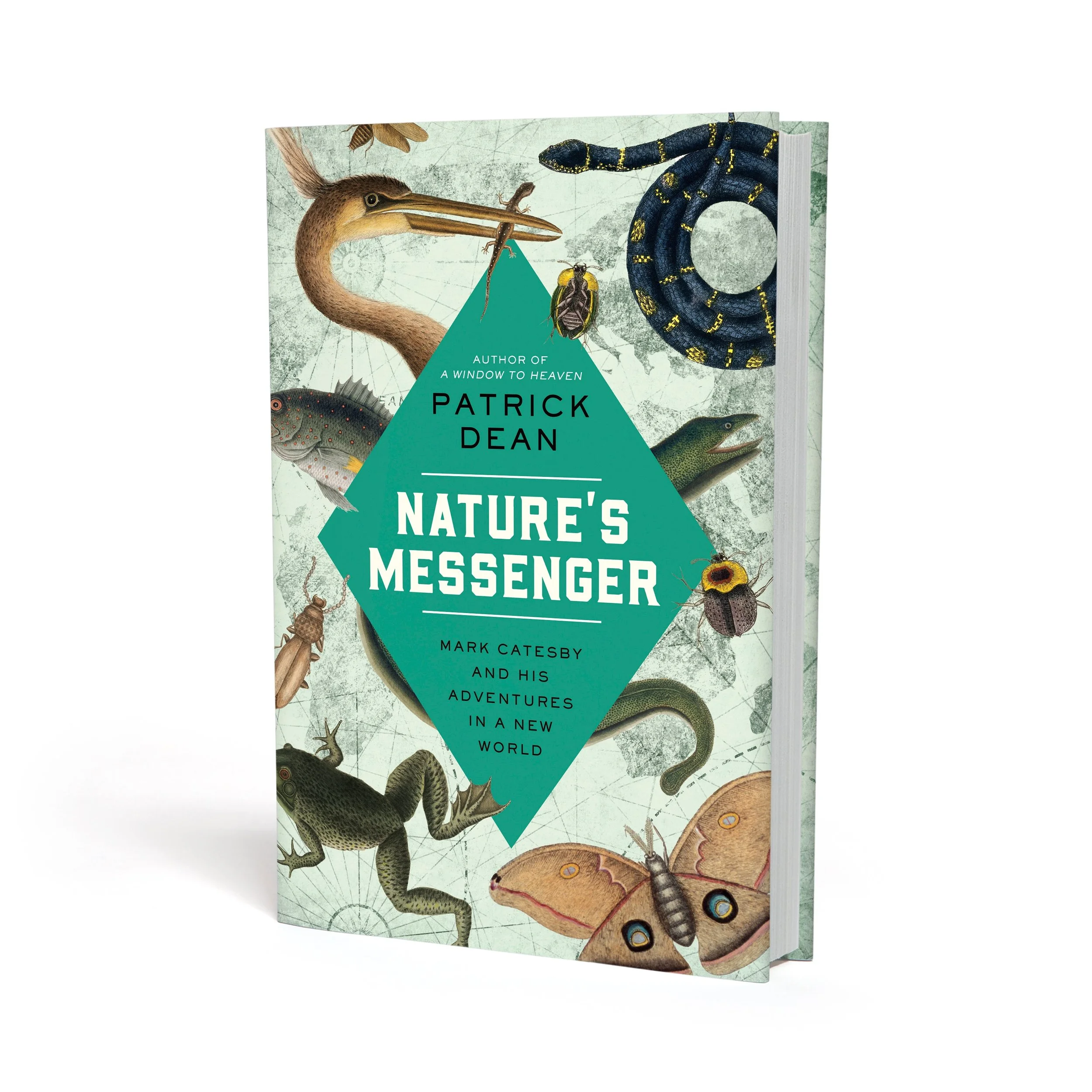Happy #pubday to #NaturesMessenger! I think the coolest thing over the last 3 years has been connecting with the Venn diagram of reader communities: naturalists, botanists, birders, ichthyologists, history buffs, art lovers...thx as always to @pegasu