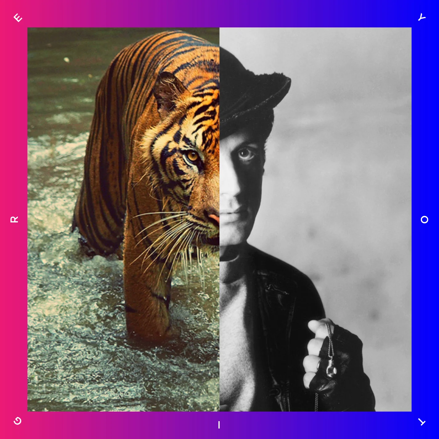 flat-yo-tigre.jpg