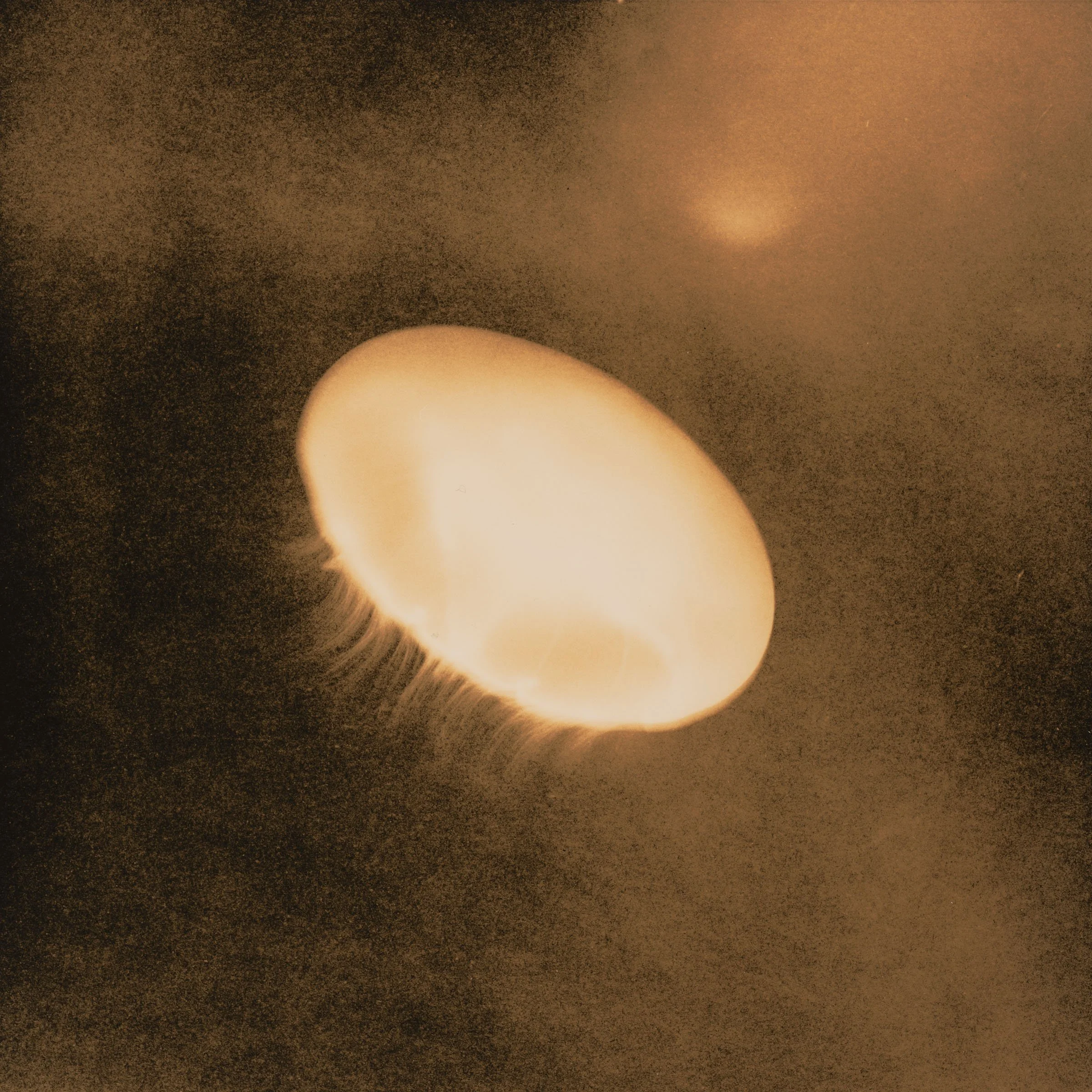 Copy_Work_30 copy.jpg