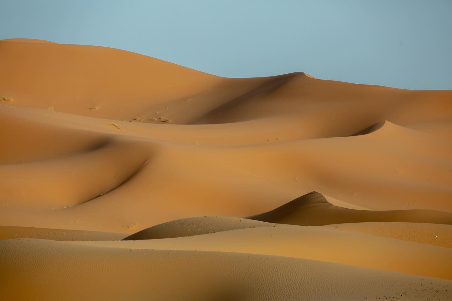 Merzouga, Morocco | A small village at the edges of the Sahara were my first glimpses of sand dunes | September 2022

#sahara #merzouga #desert #sanddunes #africa #arabia #camel #travel #morocco