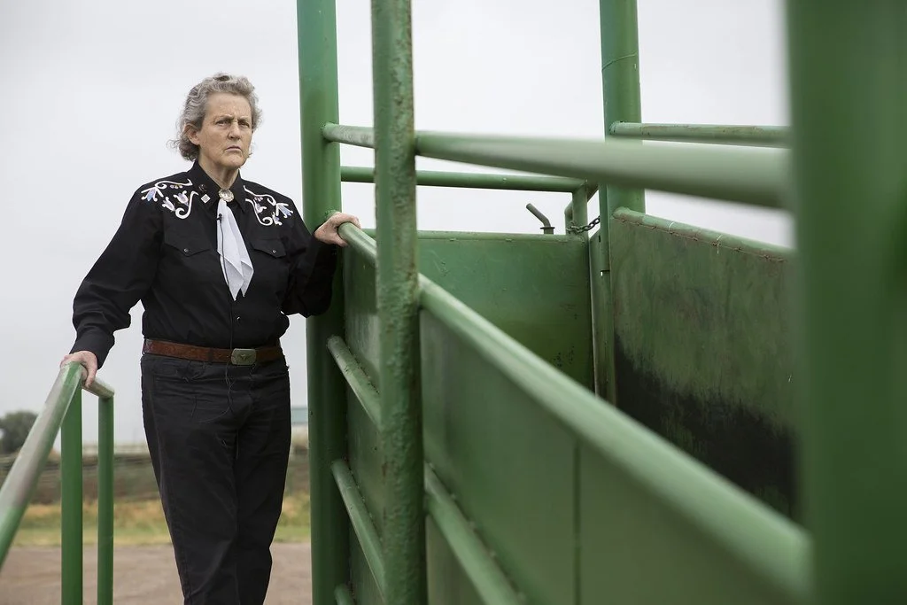 46788209032_f611663e10_b (1).jpg