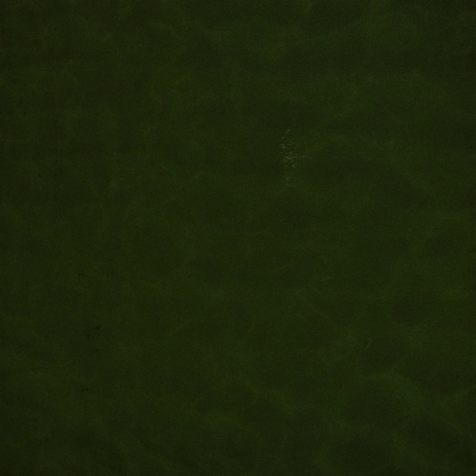 Website Backround.JPG