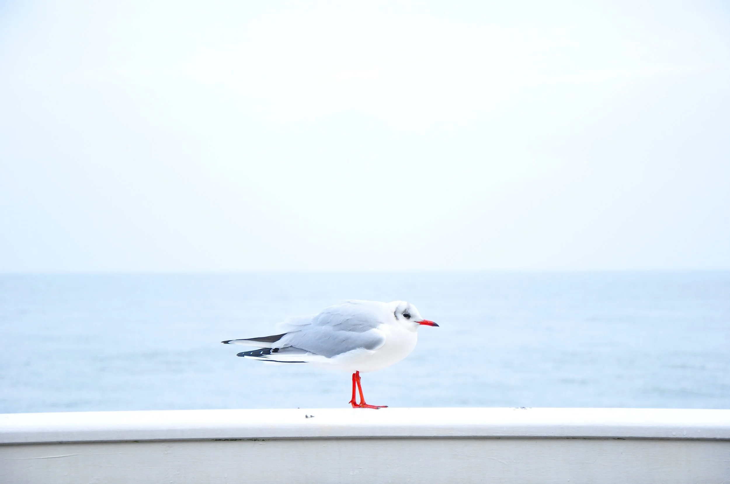 davide-ragusa-276-unsplash.jpg