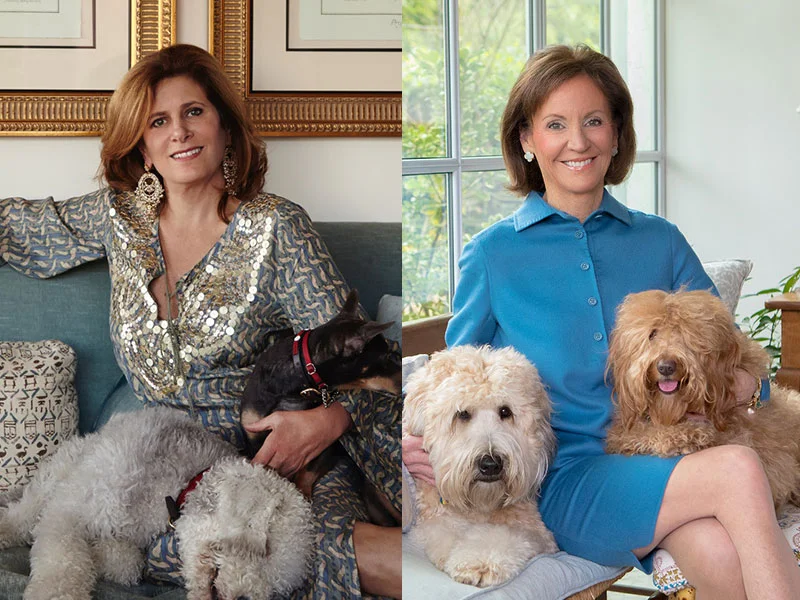 How to Live in a House