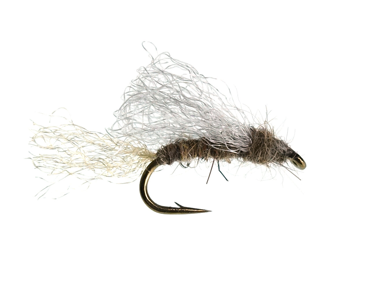Iris Caddis