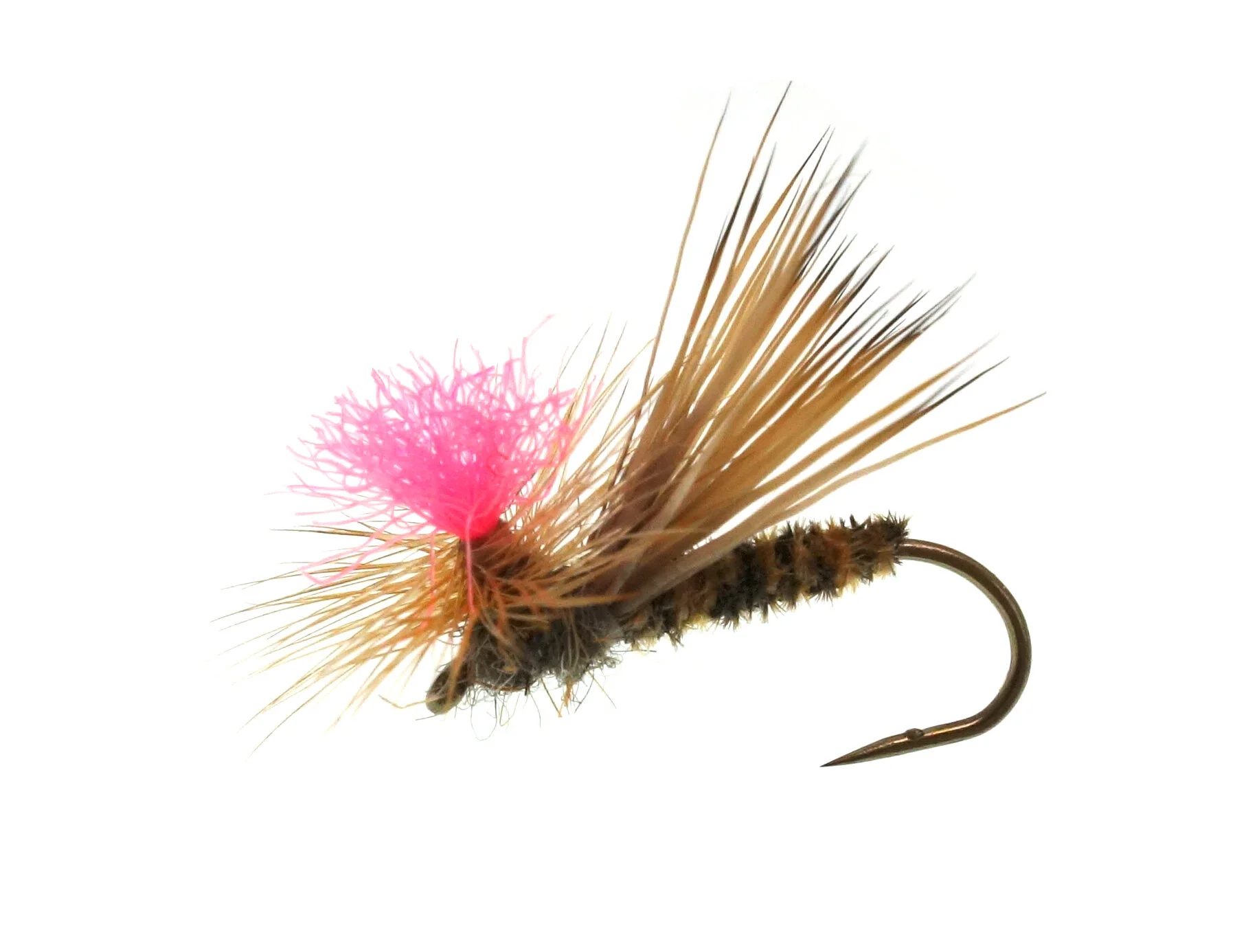 Bloom Caddis