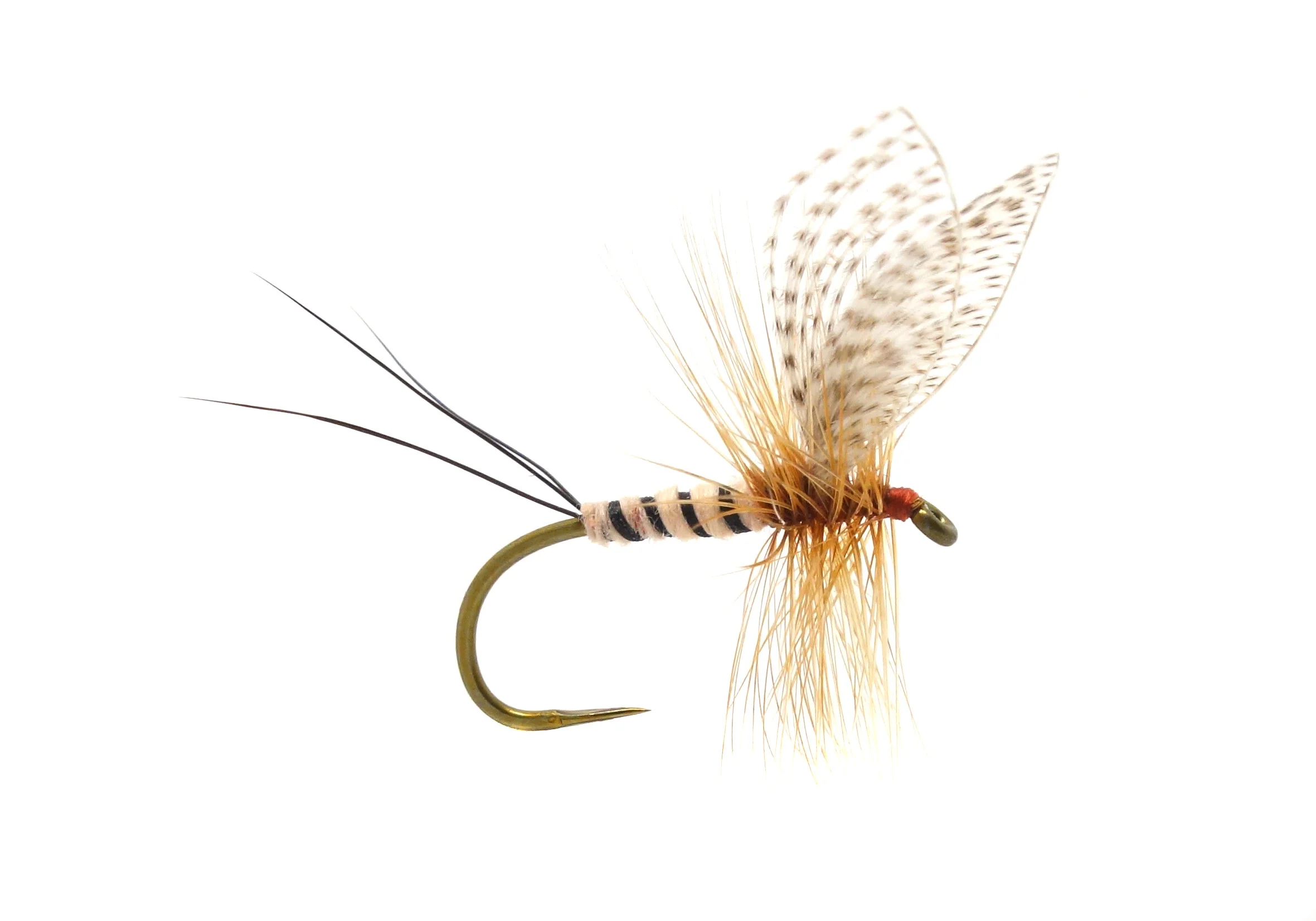 Wally Wing Mayfly