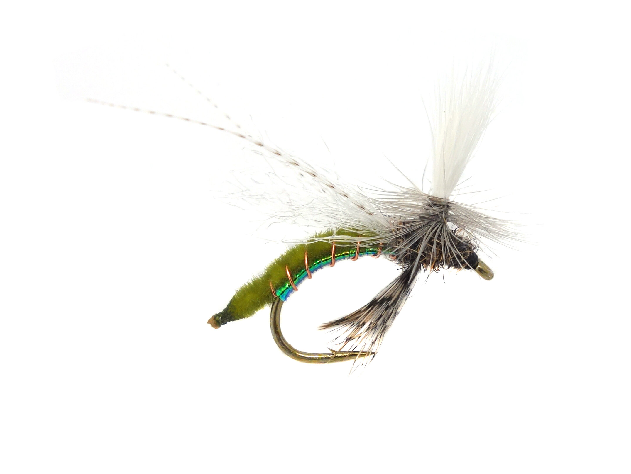 Spotlight Caddis Emerger