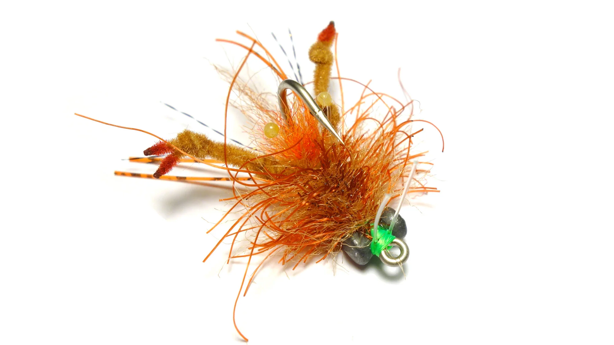 EP Clawed Tarantula Crab