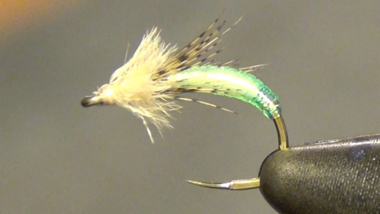 Graphic Caddis