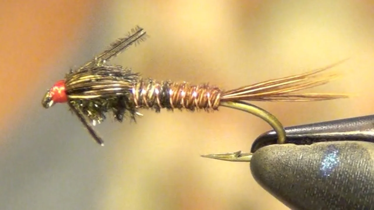 Pheasant Tail