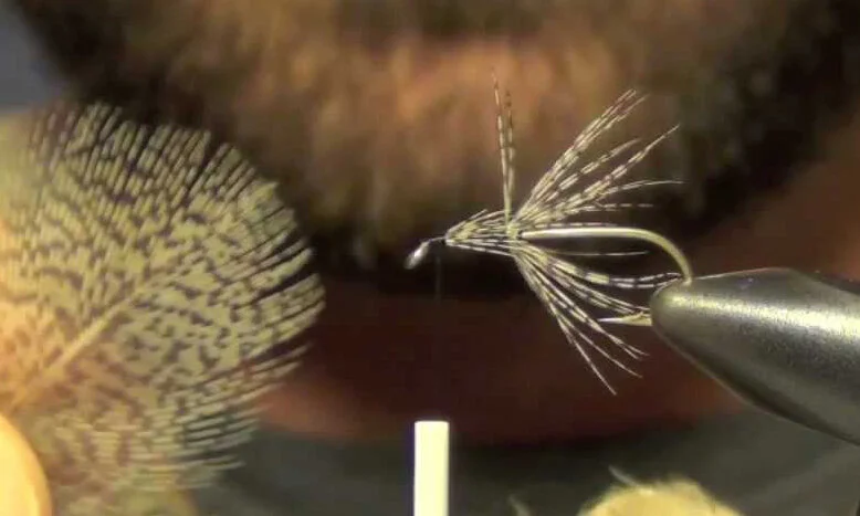 Fly Tying With Partridge Feathers