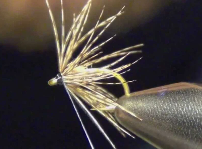 Wrapping Soft Hackles