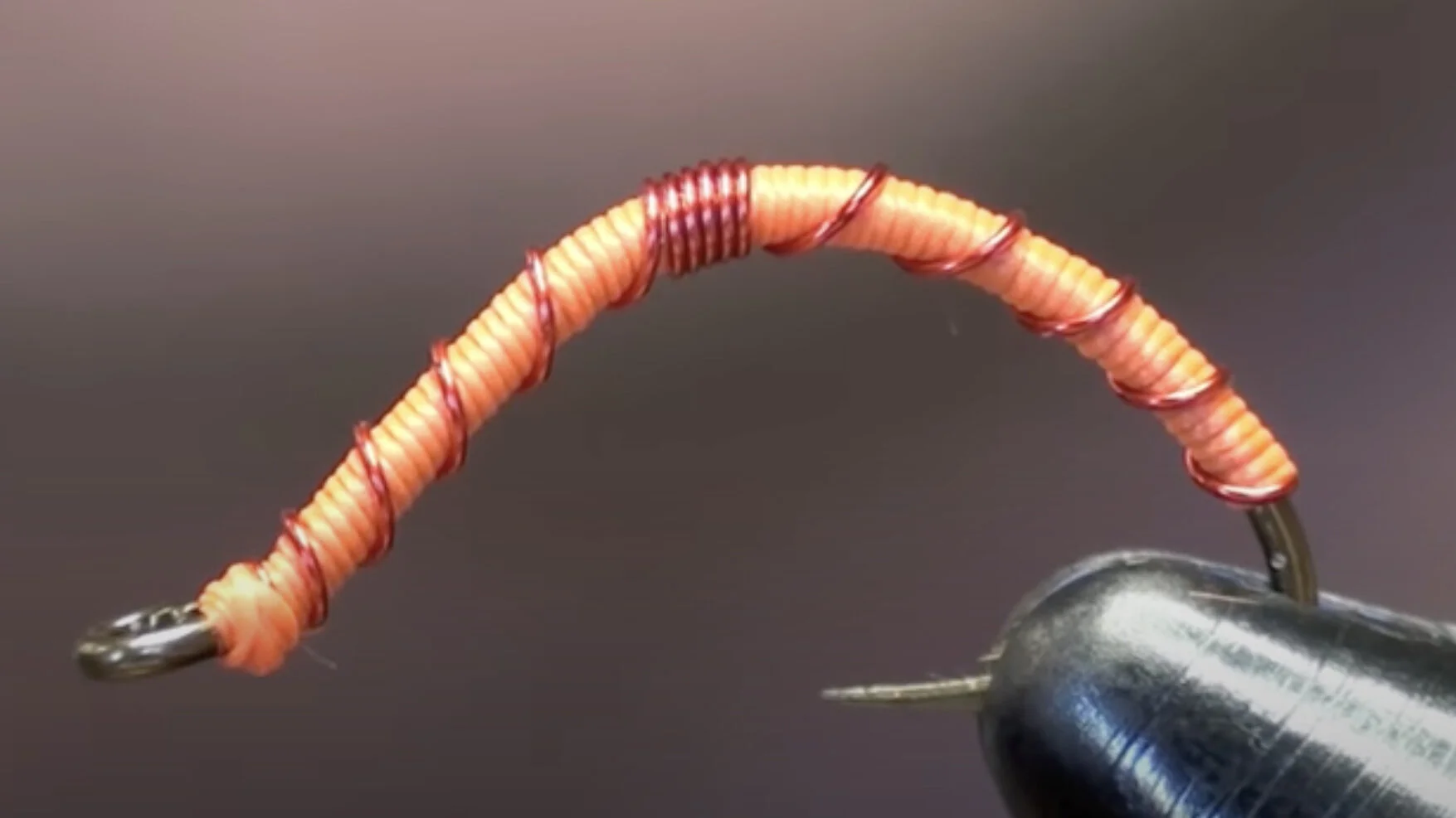 Pig Sticker Worm
