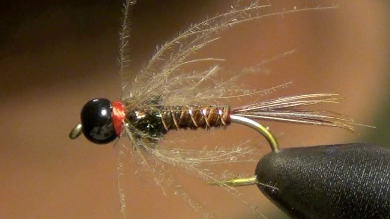 CDC Pheasant Tail