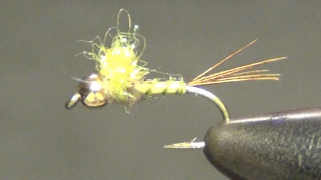 Trigger Nymph