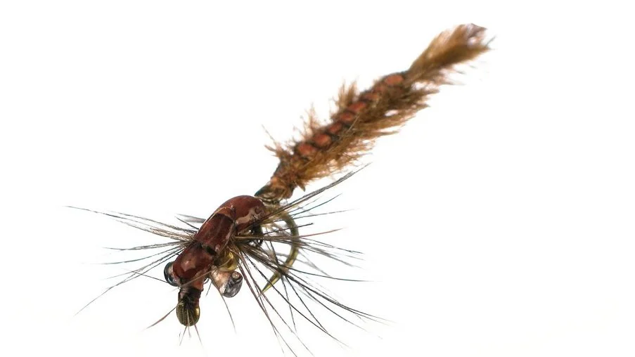 Articulated Hellgrammite Nymph