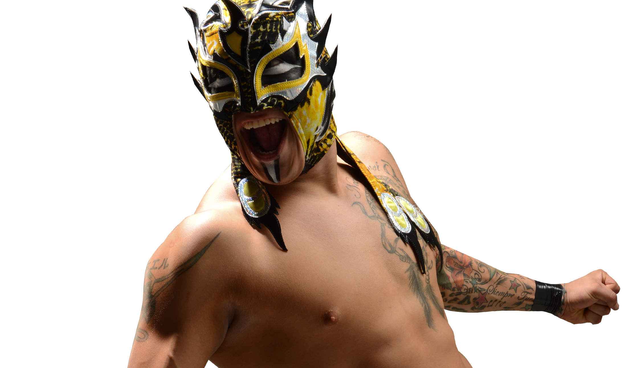Fenix