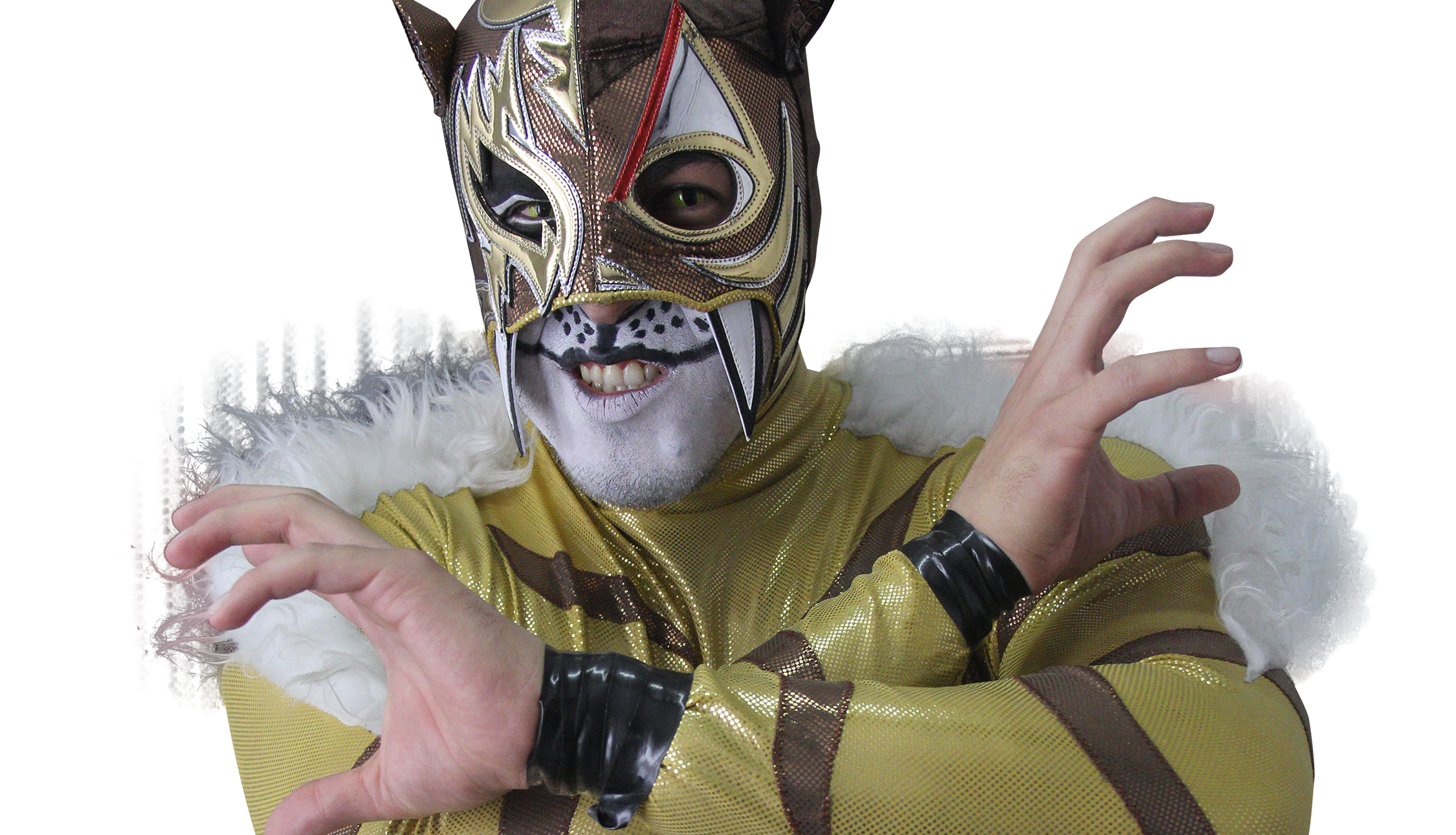 Puma King