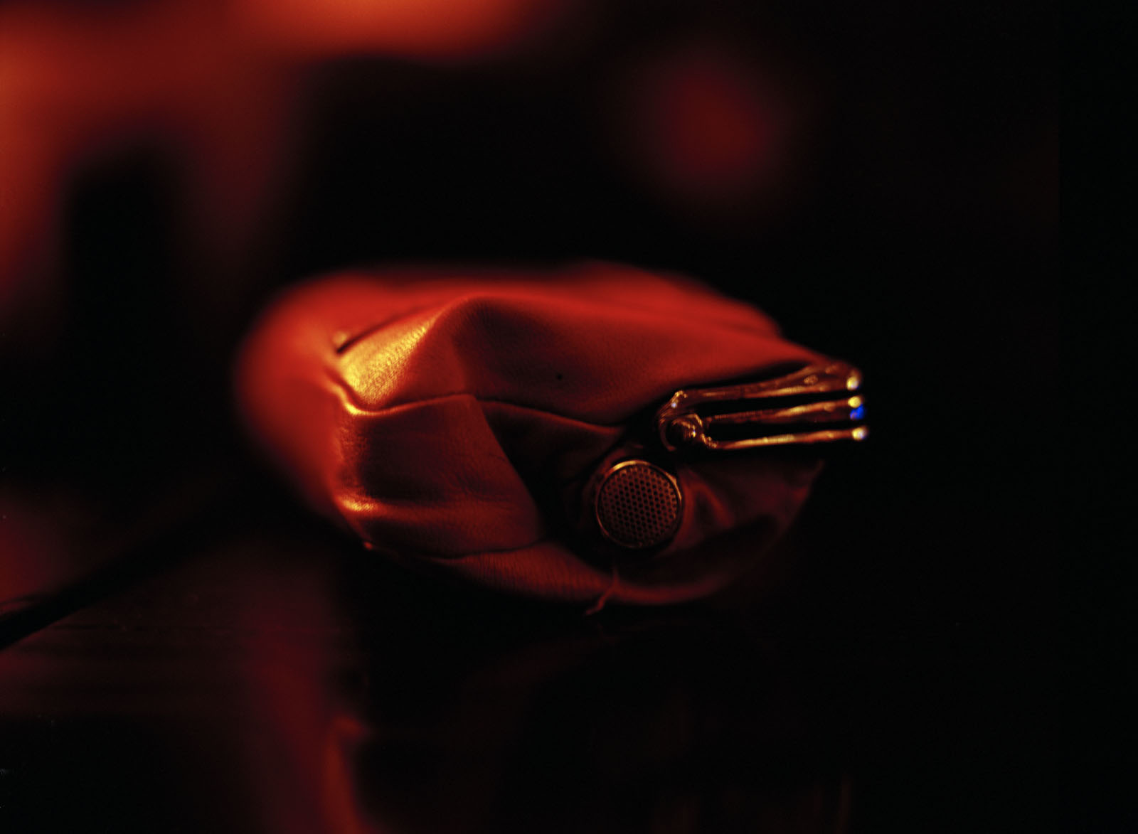 Caruana_Clandestine_Purse_1600px.jpeg