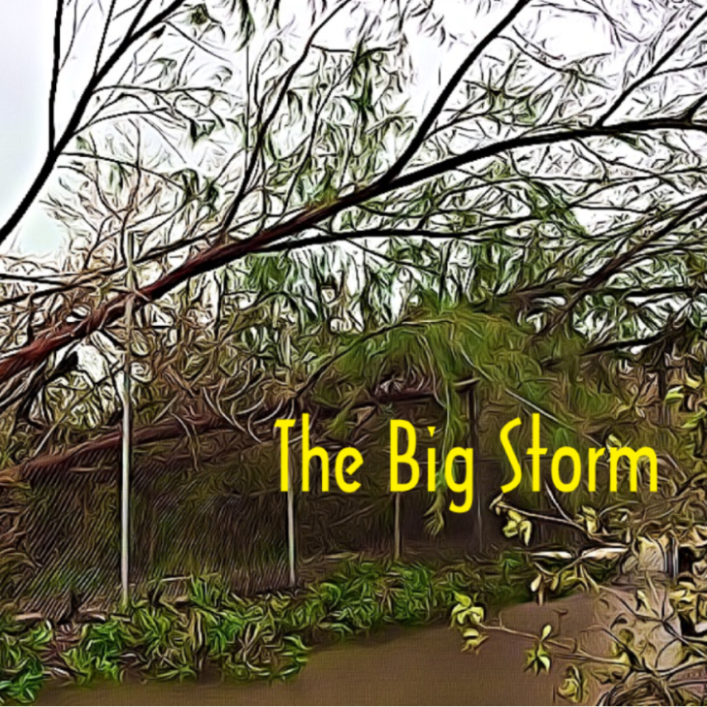 Island Tails - The Big Storm