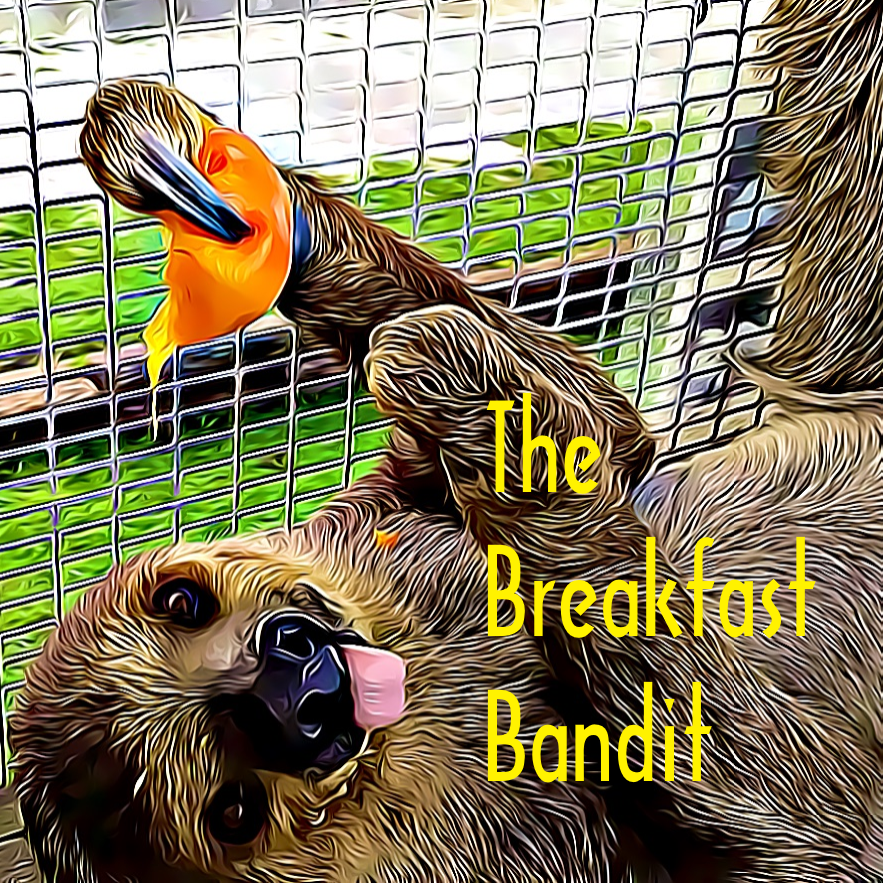 COver_Sell_BreakfastBandit.png