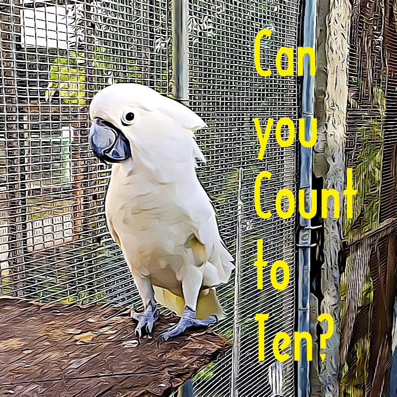Cover_Sell_CountToTen.png