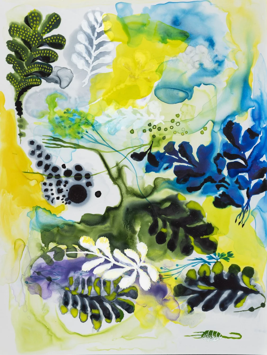 Jody Guralnick, Untitled, 2025, acrylic watercolor on Yupo, 9" x 12"