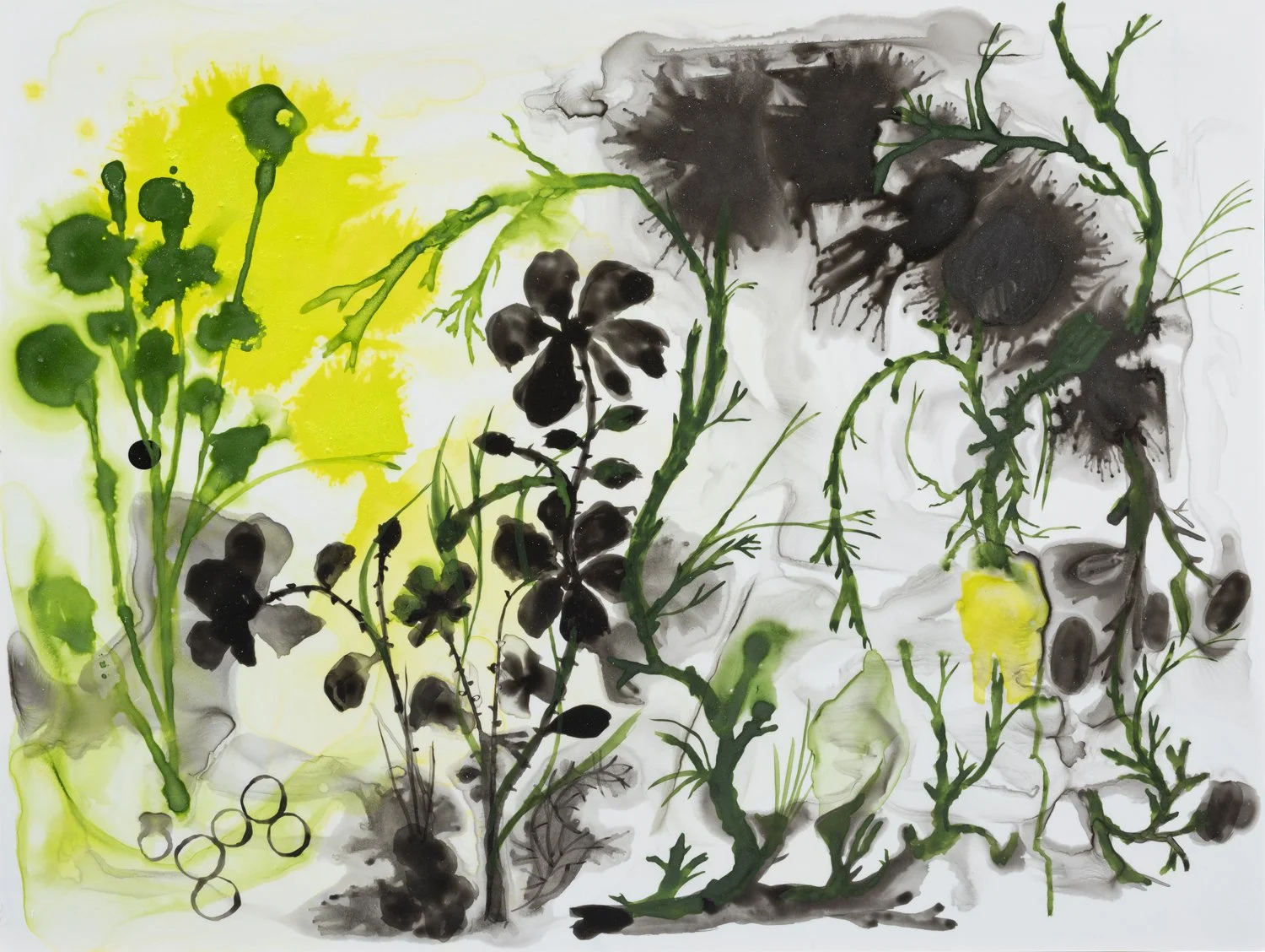  Jody Guralnick, Untitled, 2025, watercolor on Yupo, 9 x 12 inches