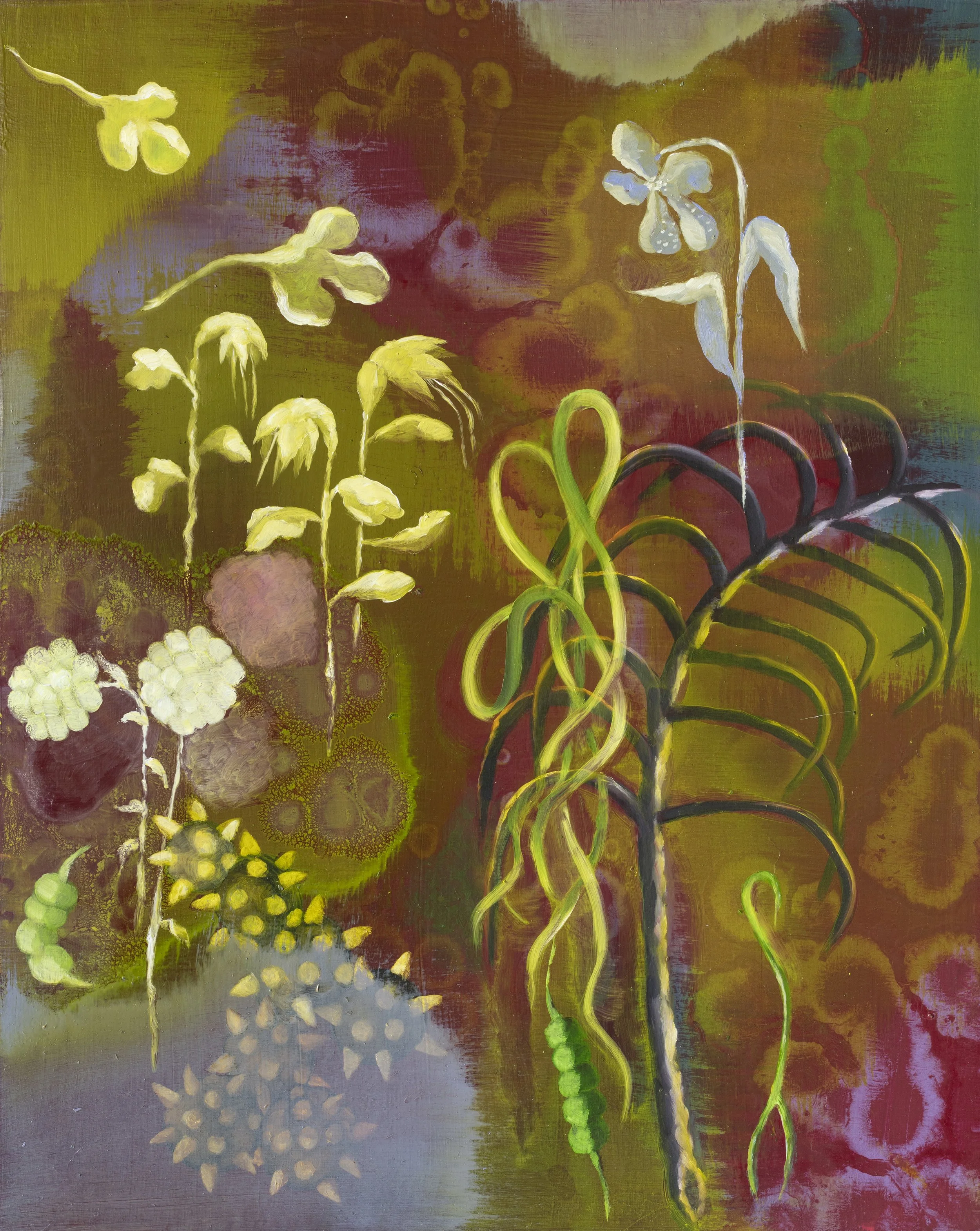 Twisted Grass, 2026, oil on wood panel, 20 x 16 inches