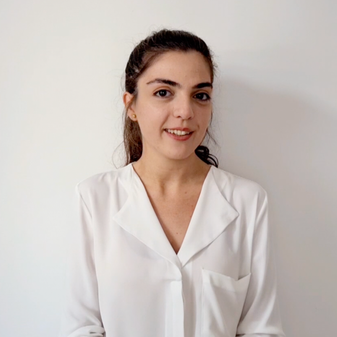 Goknil Pencik, Data Scientist &amp; Senior IT Auditor at BBVA