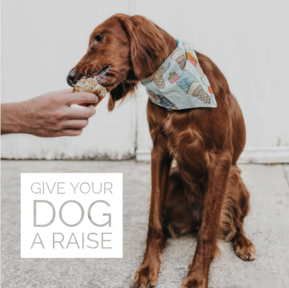Give Your Dog A Raise! — Clickstart Dog Training