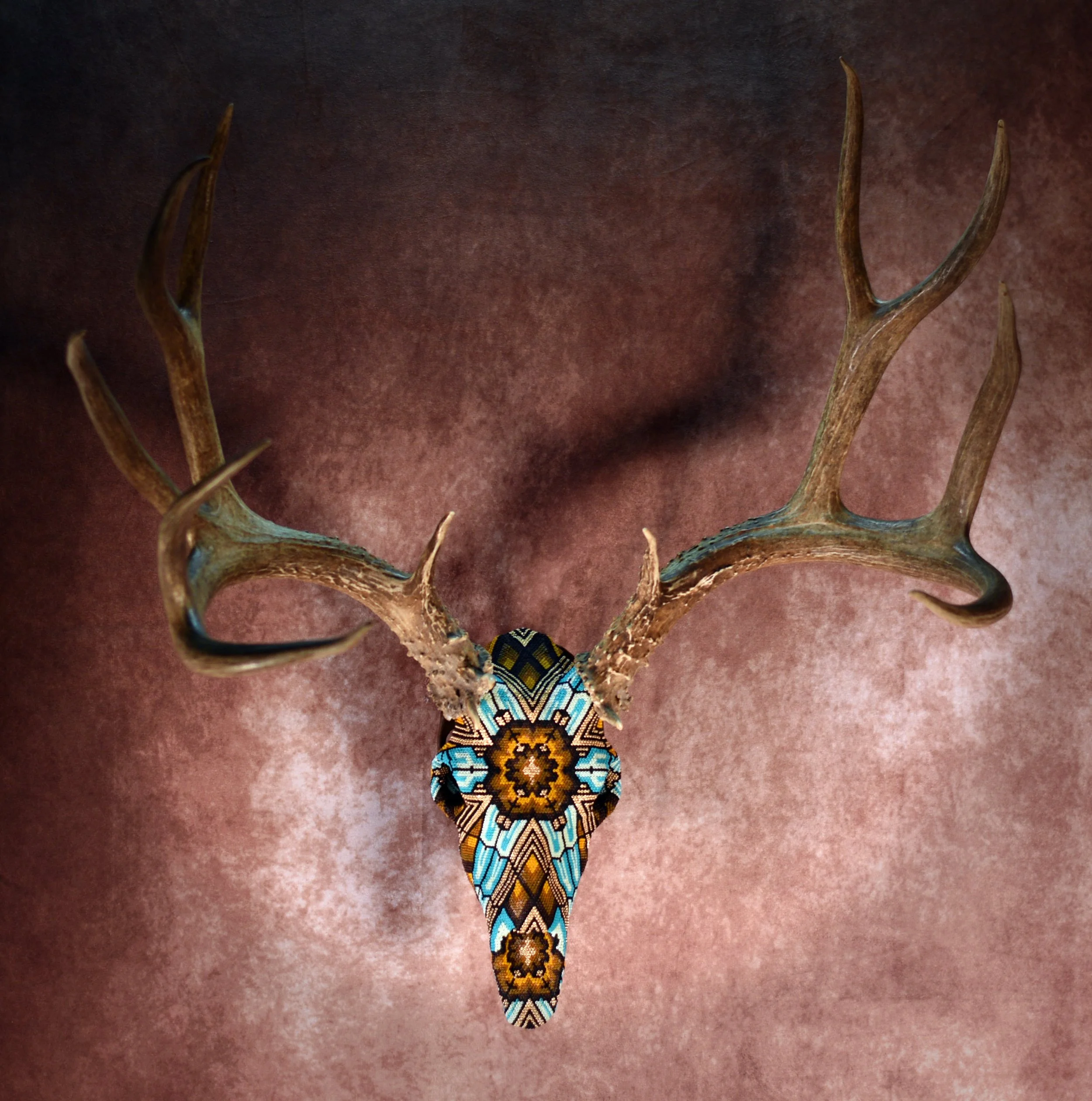 Brutus Deer 1.jpg
