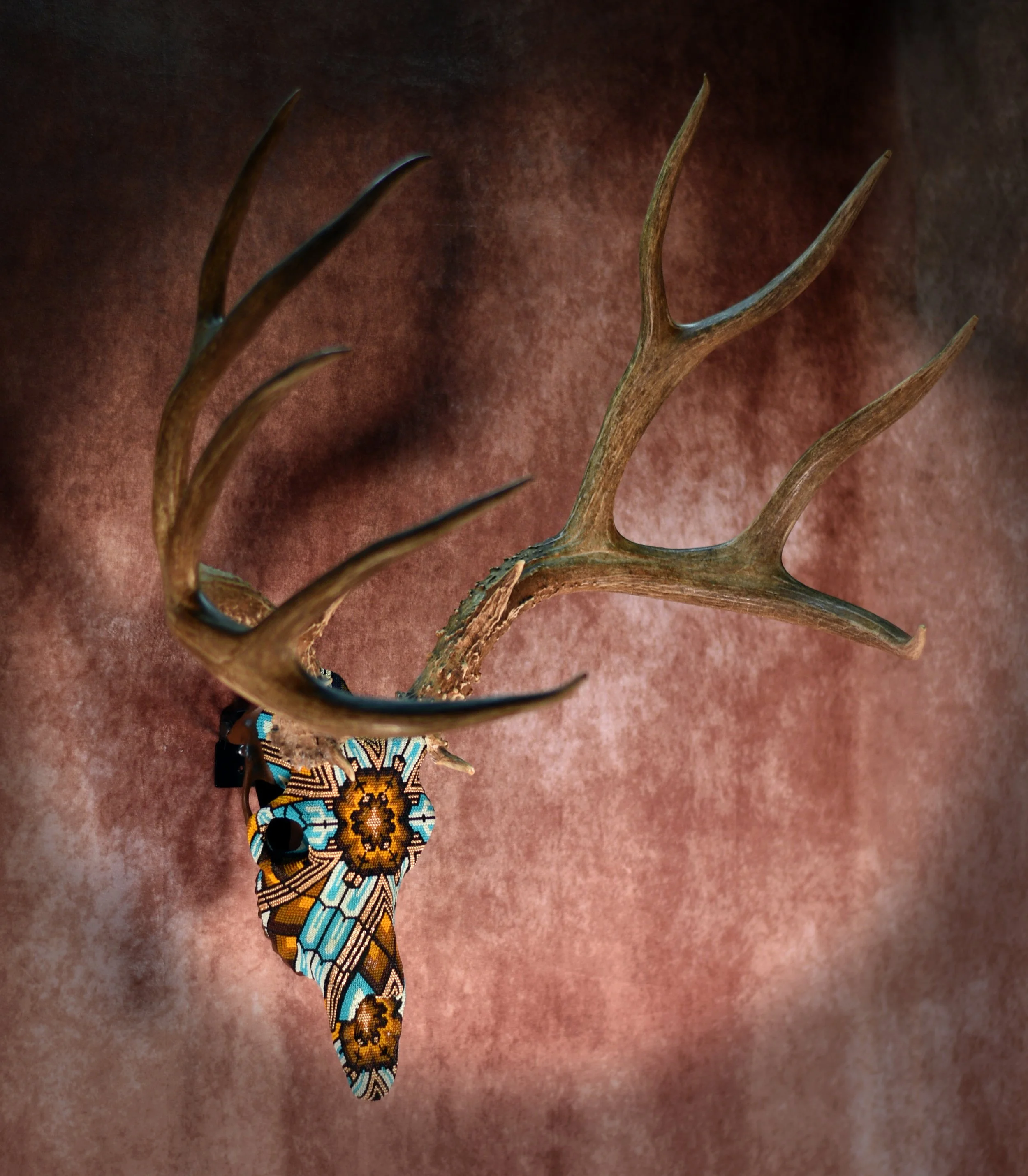 Brutus Deer 2.jpg