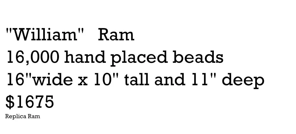 info stuff William.jpg