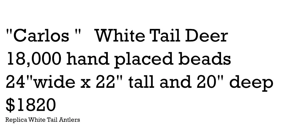 info stuff Carlos.jpg