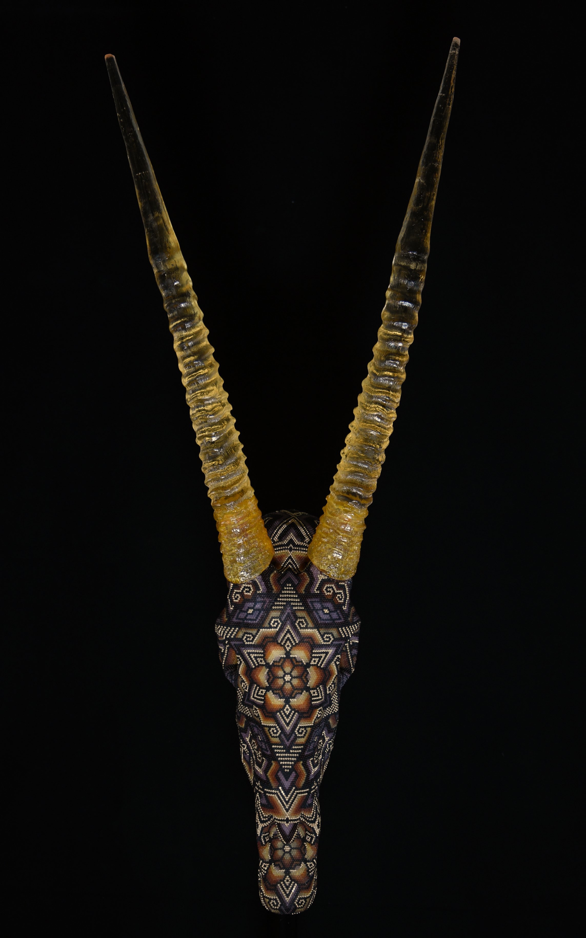 FG 5.jpg