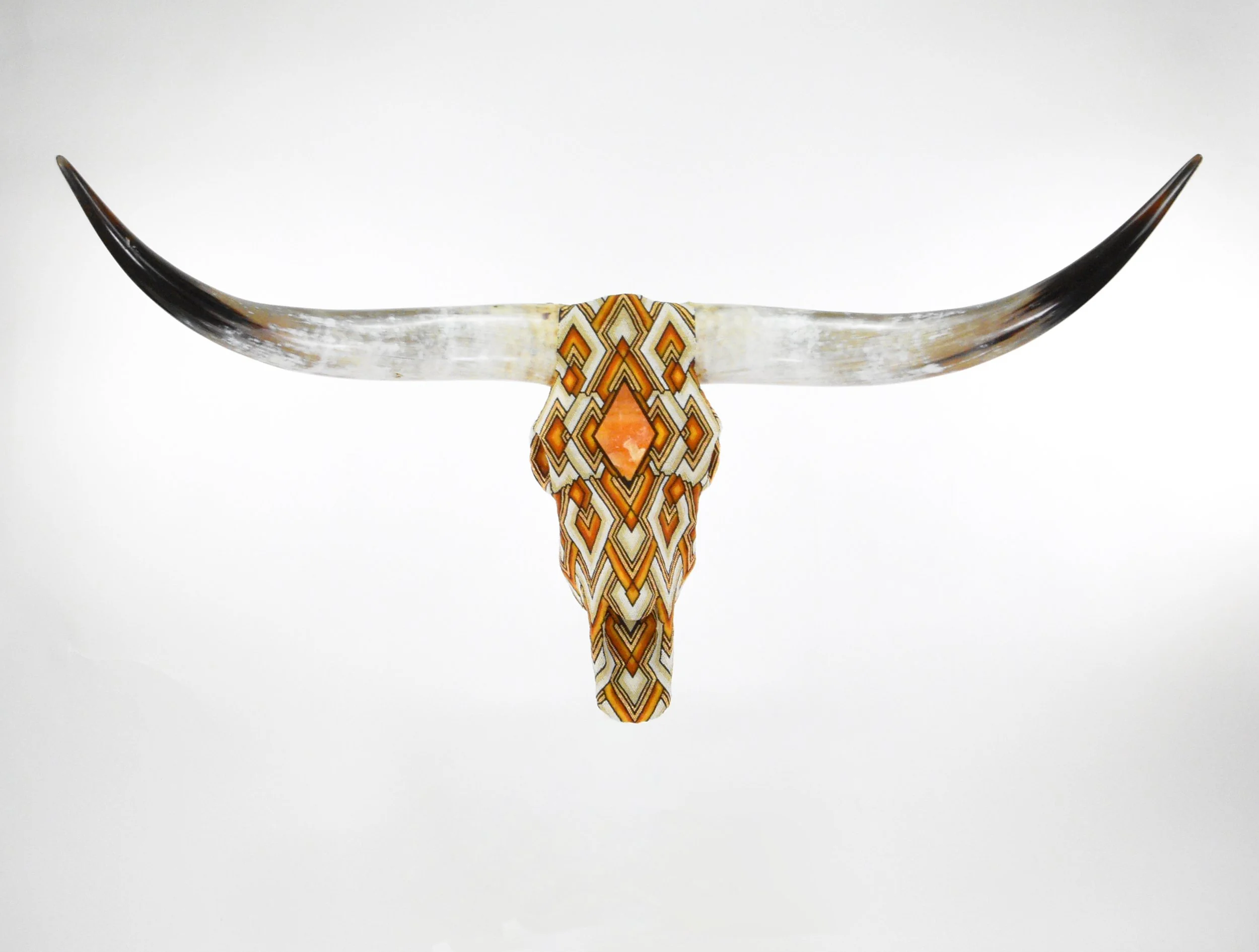 Dallas Longhorn