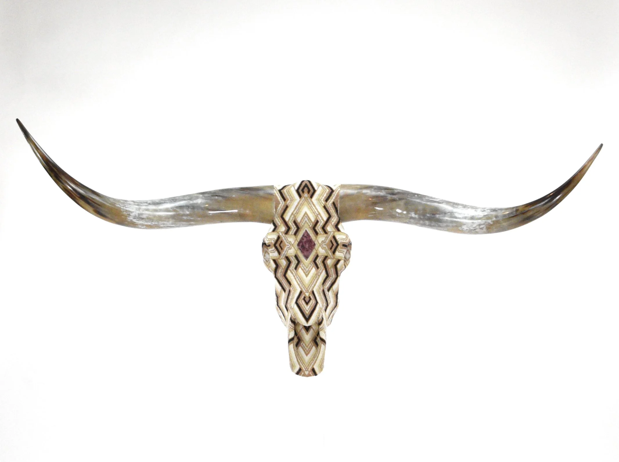 Amatista Longhorn