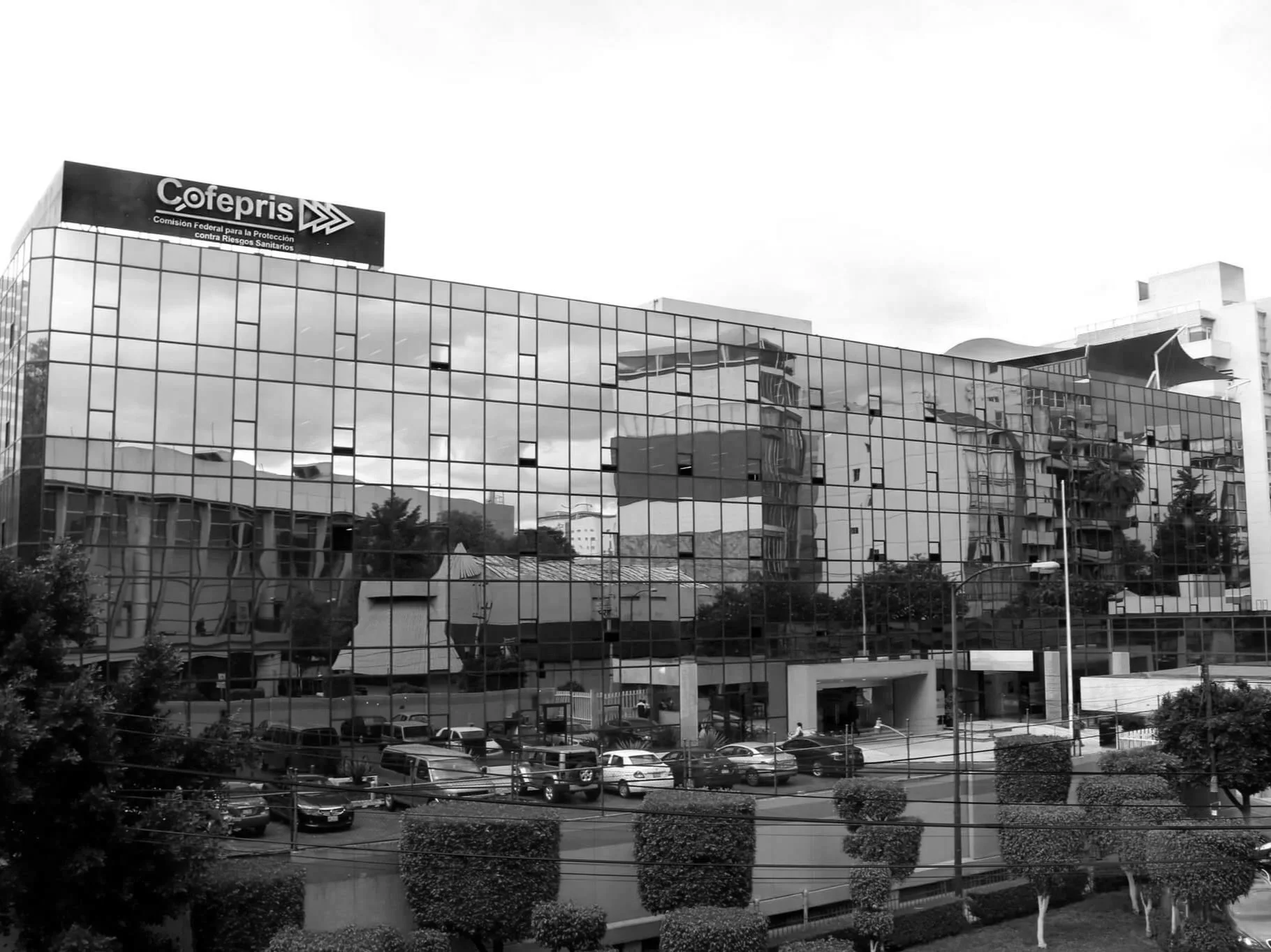 COFEPRIS 2025:  Regulatory advances and international alignment