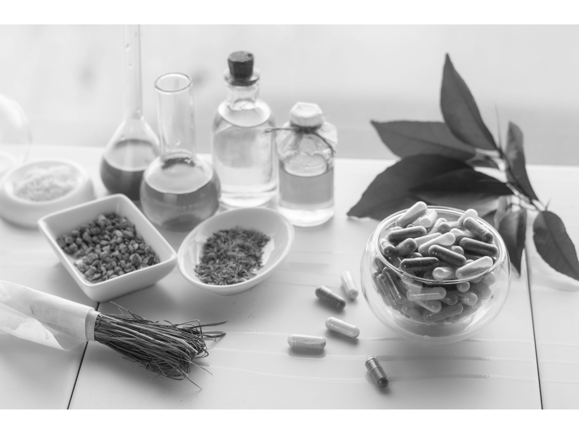 Ingredient regulatory framework for dietary supplements in Mexico: A compliance guide