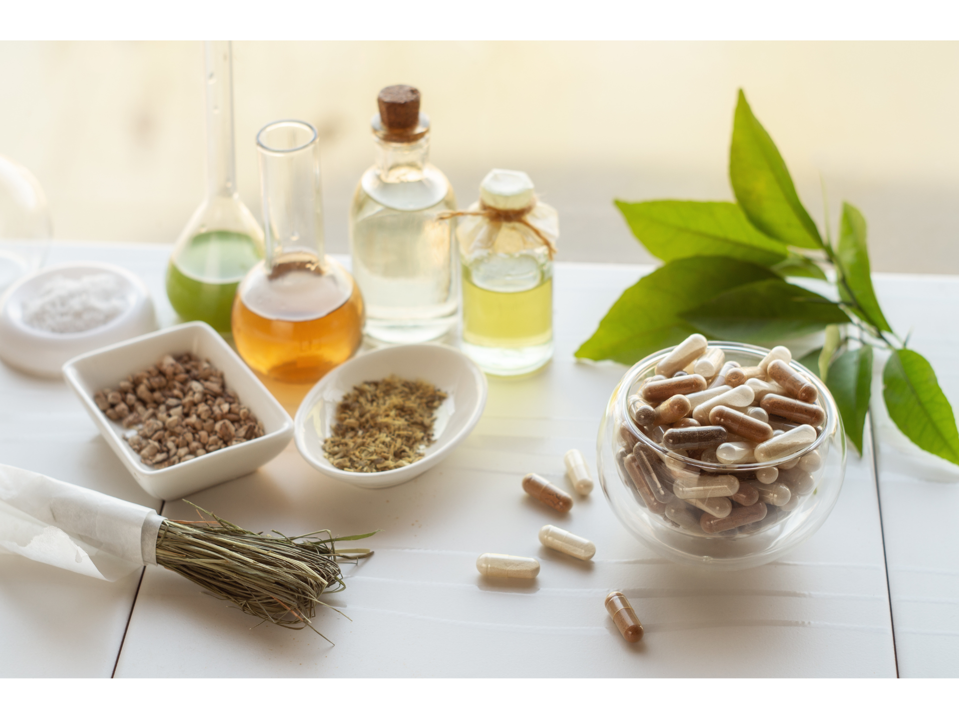 Ingredient regulatory framework for dietary supplements in Mexico: A compliance guide